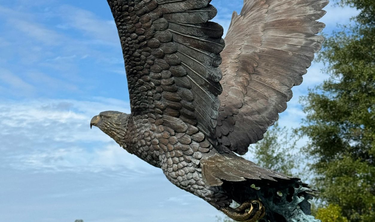 Untitled Design - 2026-02-12T184319.756