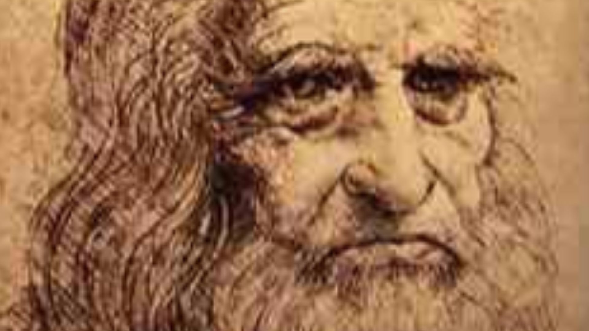 File:Possible Self-Portrait of Leonardo da Vinci.jpg