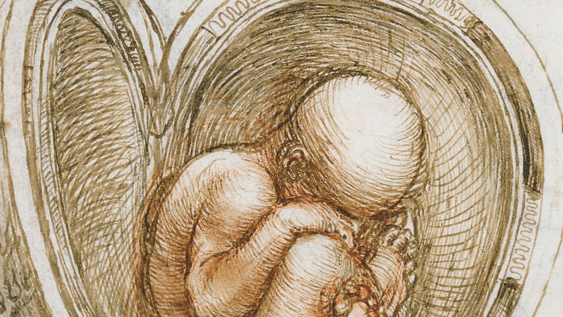 File:Leonardo da Vinci - Studies of the foetus in the womb.jpg
