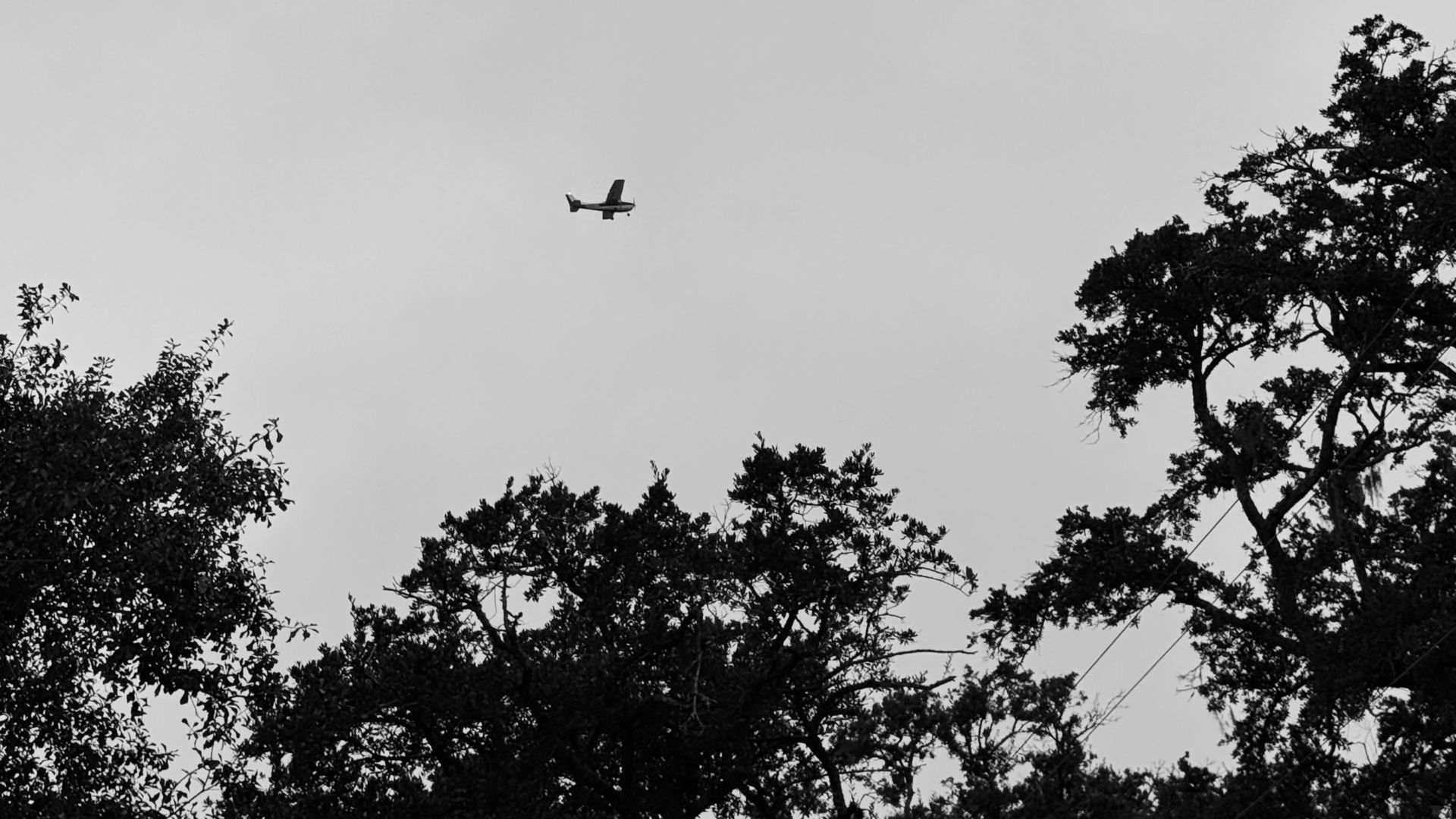 Small airplane flying in the sky above trees