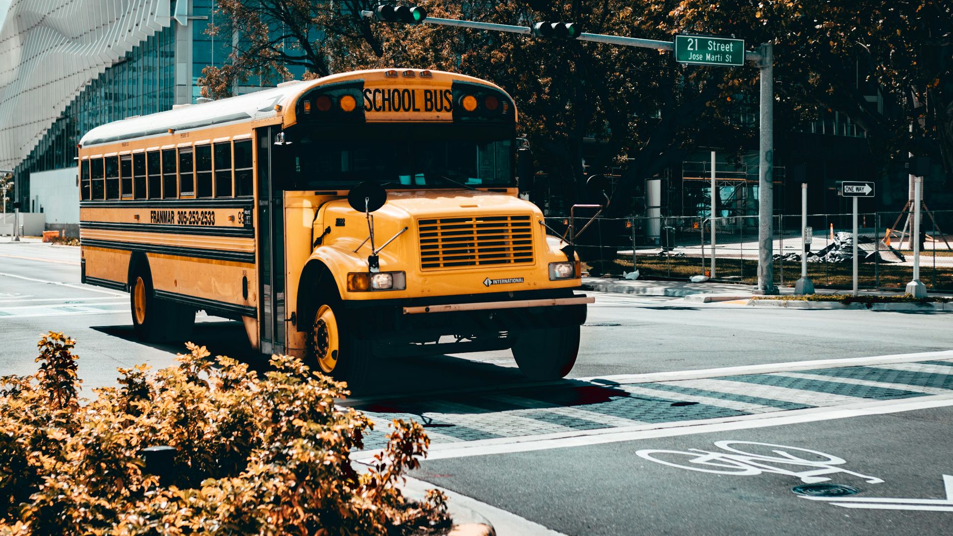 yellow school bus on road