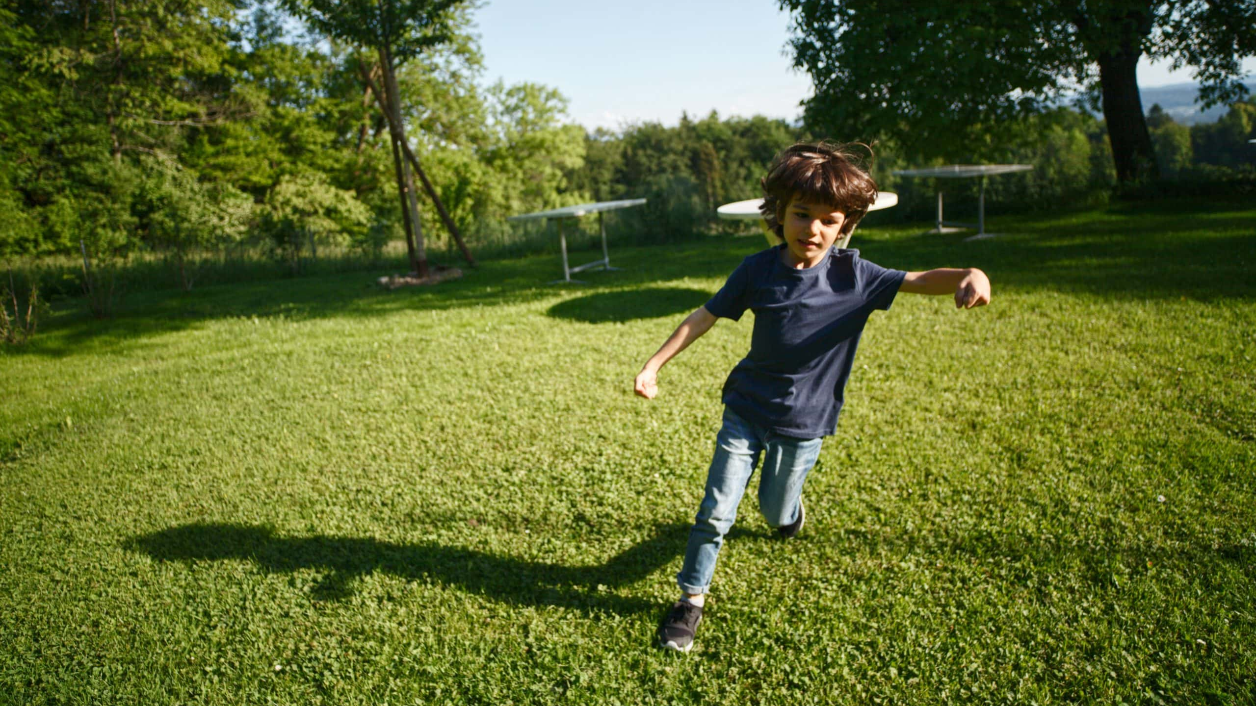 Stupid Neighbors Facts