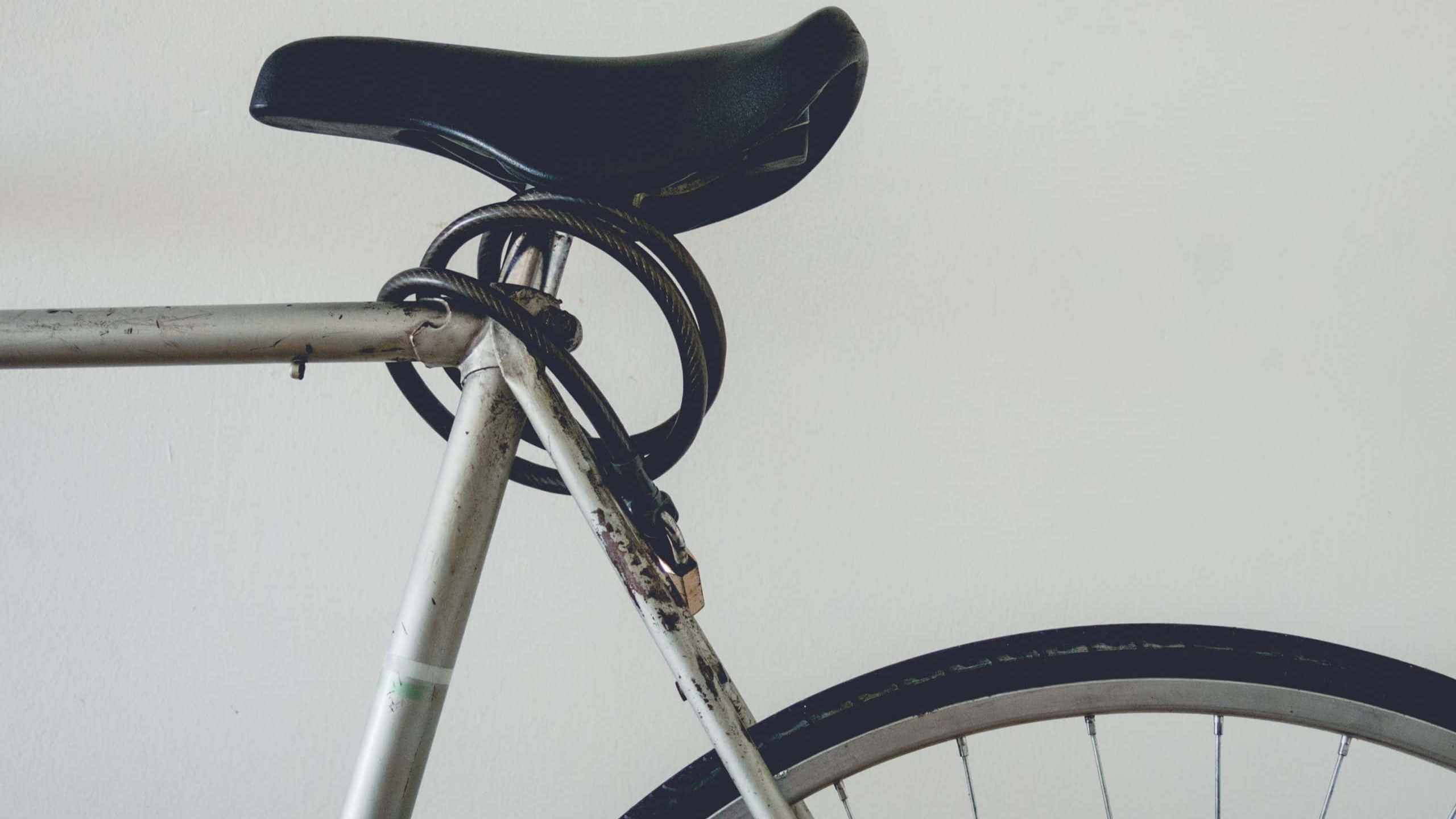 Stupid Neighbors Facts