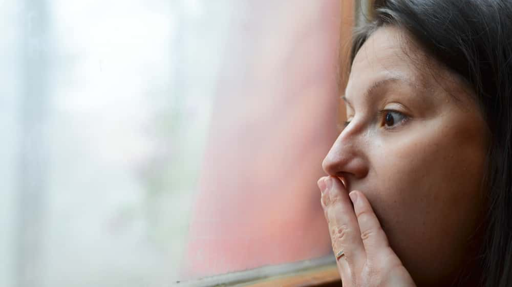 Stupid Neighbors Facts