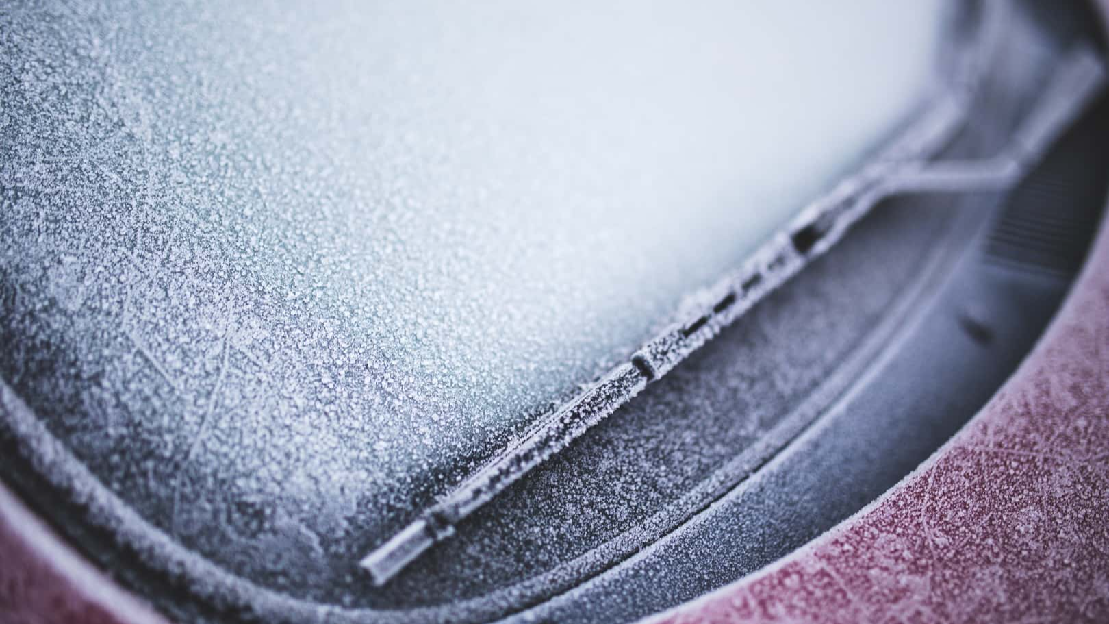 Stupid Neighbors Facts