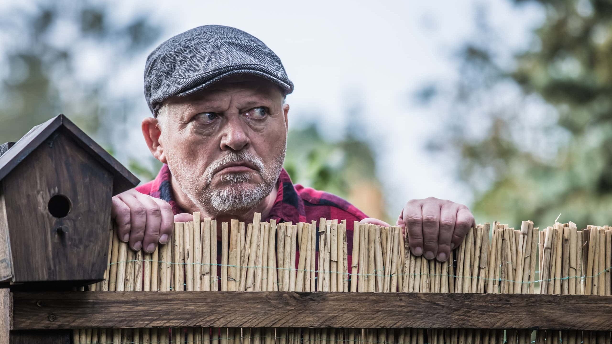 Stupid Neighbors Facts