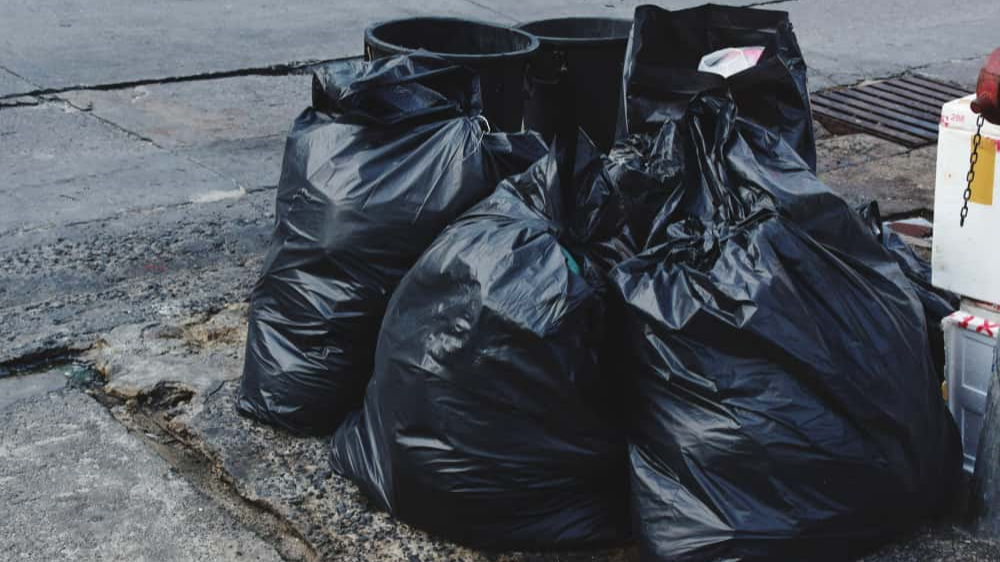 Paranormal Explained Facts