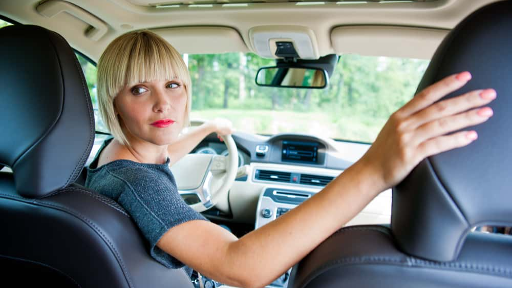 Stupid Neighbors Facts