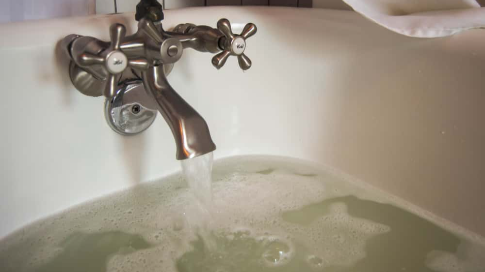 Queen Maria Sophie Facts