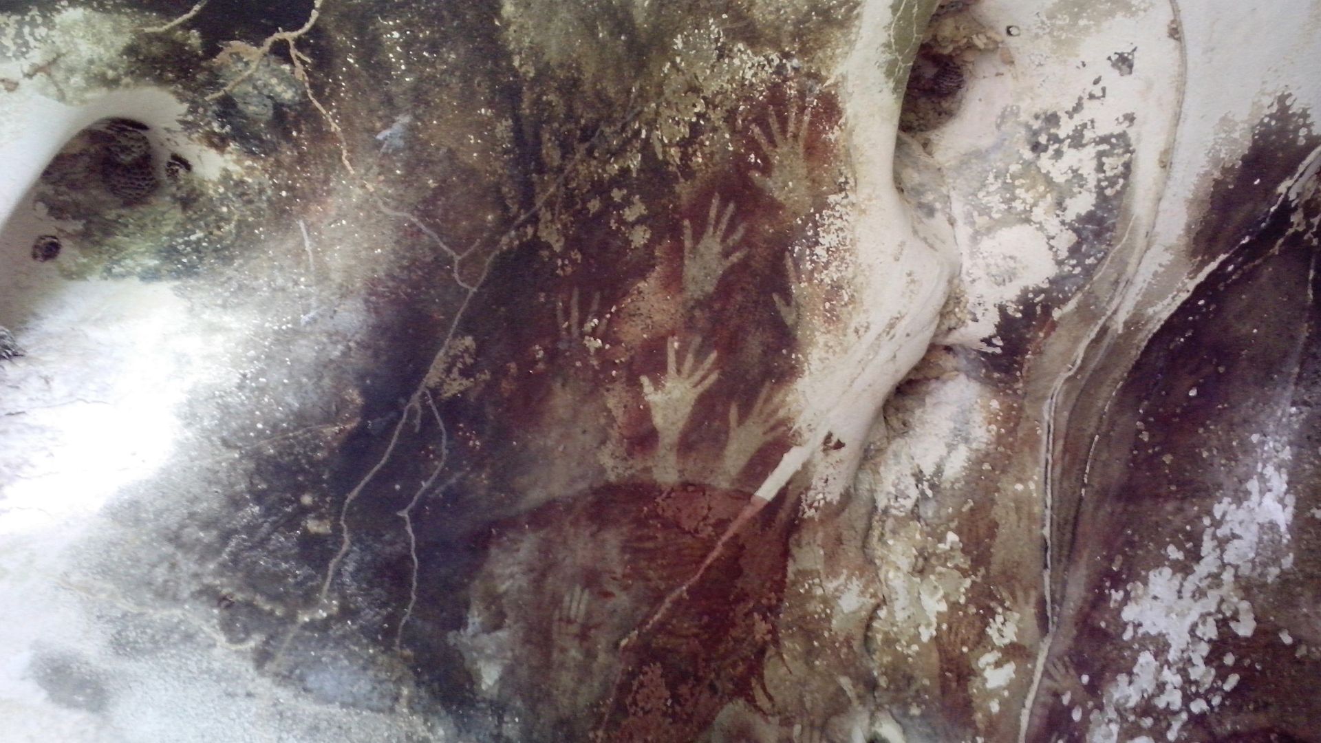 File:Hands in Pettakere Cave.jpg