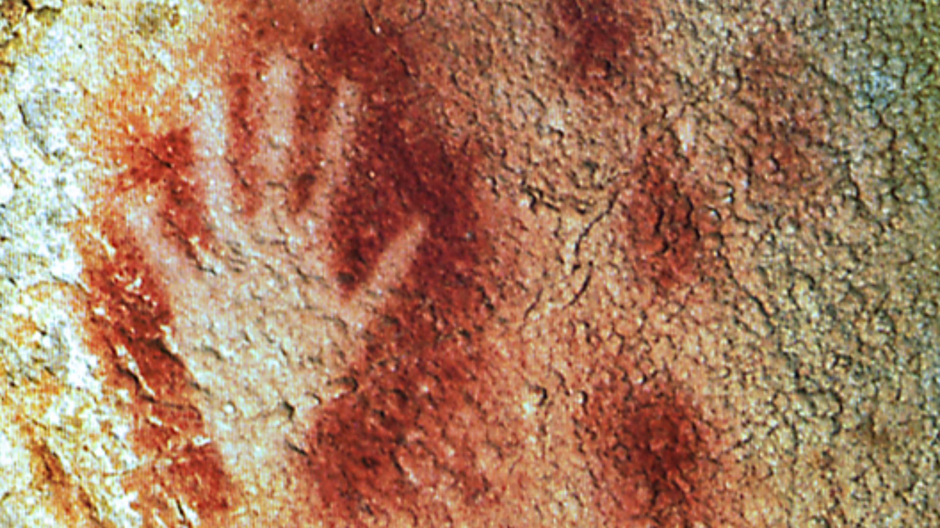 File:Pech Merle main.jpg