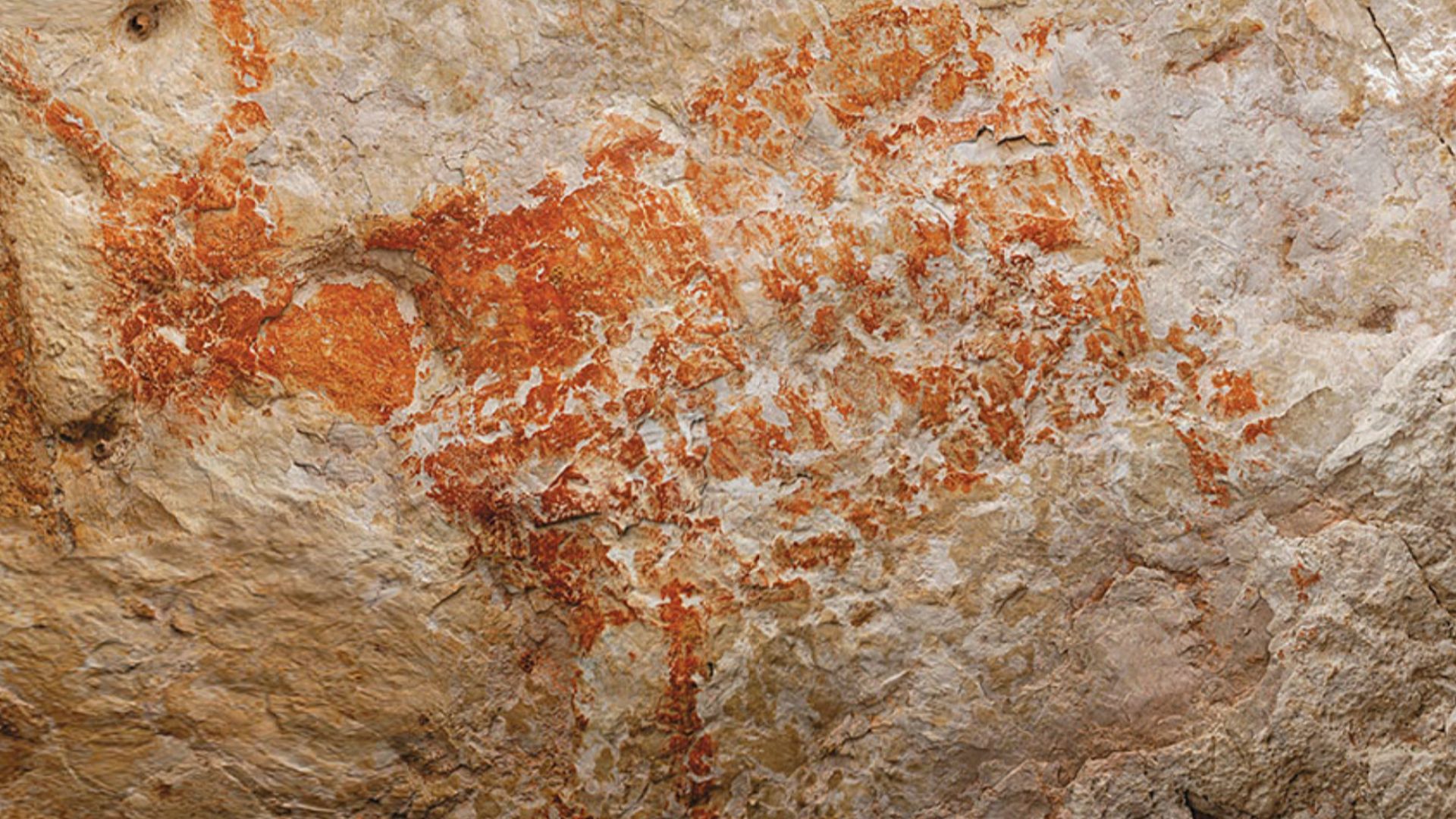 File:Lubang Jeriji Saléh cave painting of Bull.jpg