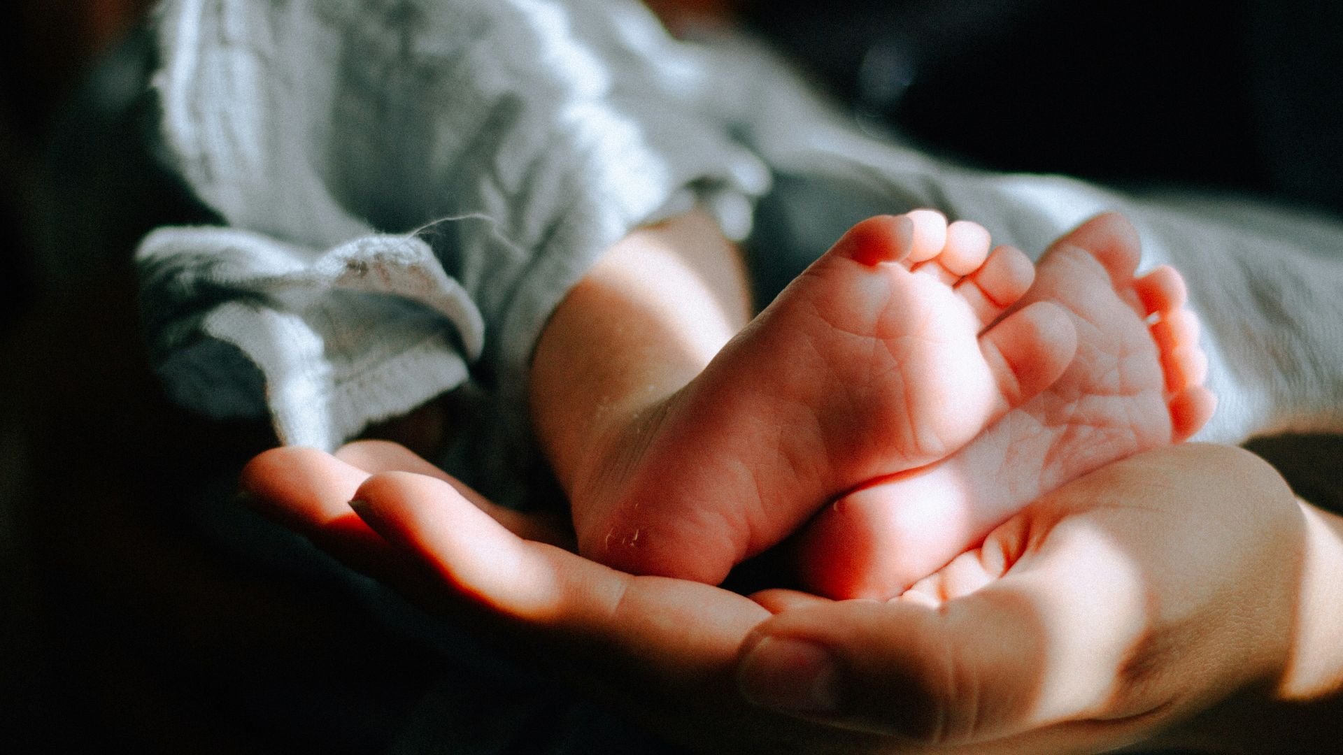 person holding baby feet