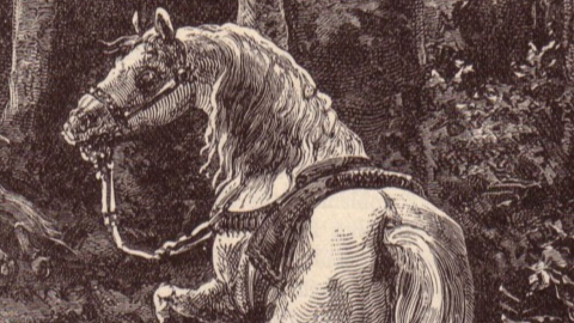 File:Death of William Rufus.jpg