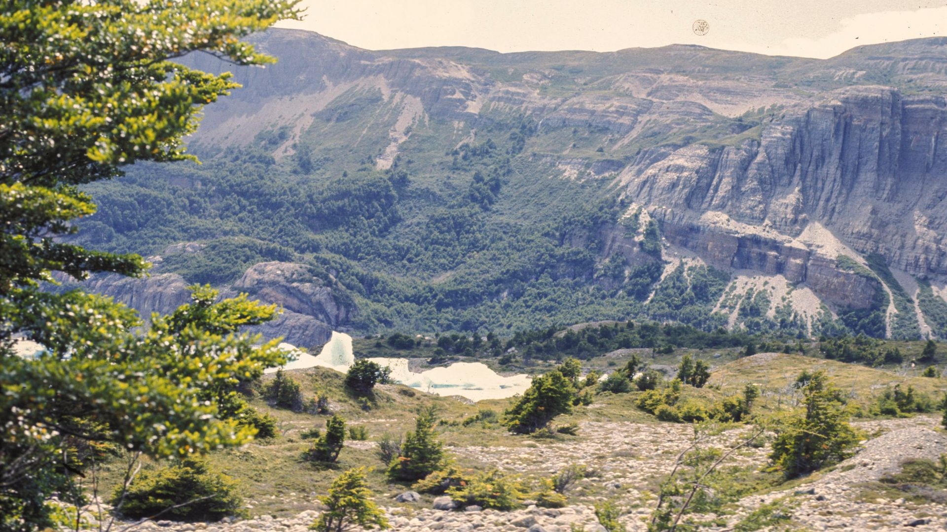 File:1983-12 patagonien 22.jpg