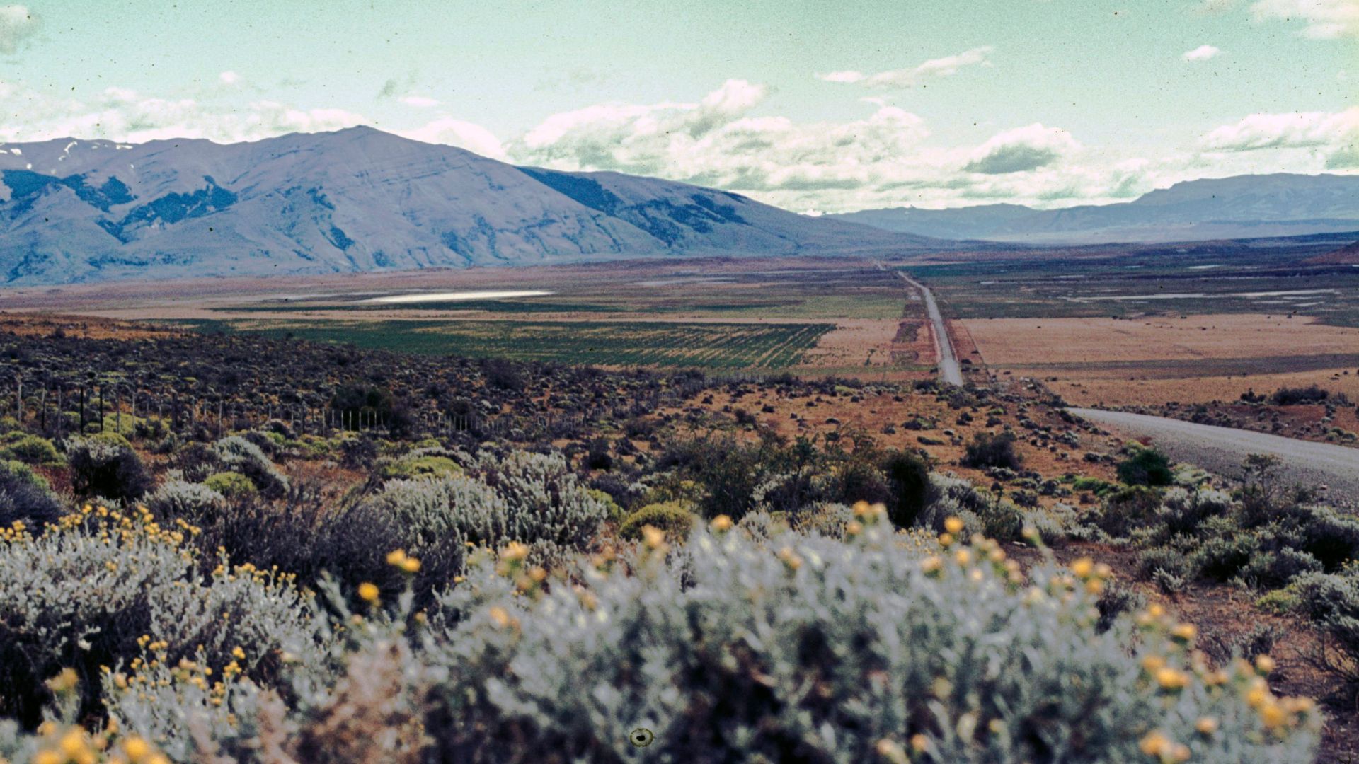 File:1983-12 patagonien 57.jpg