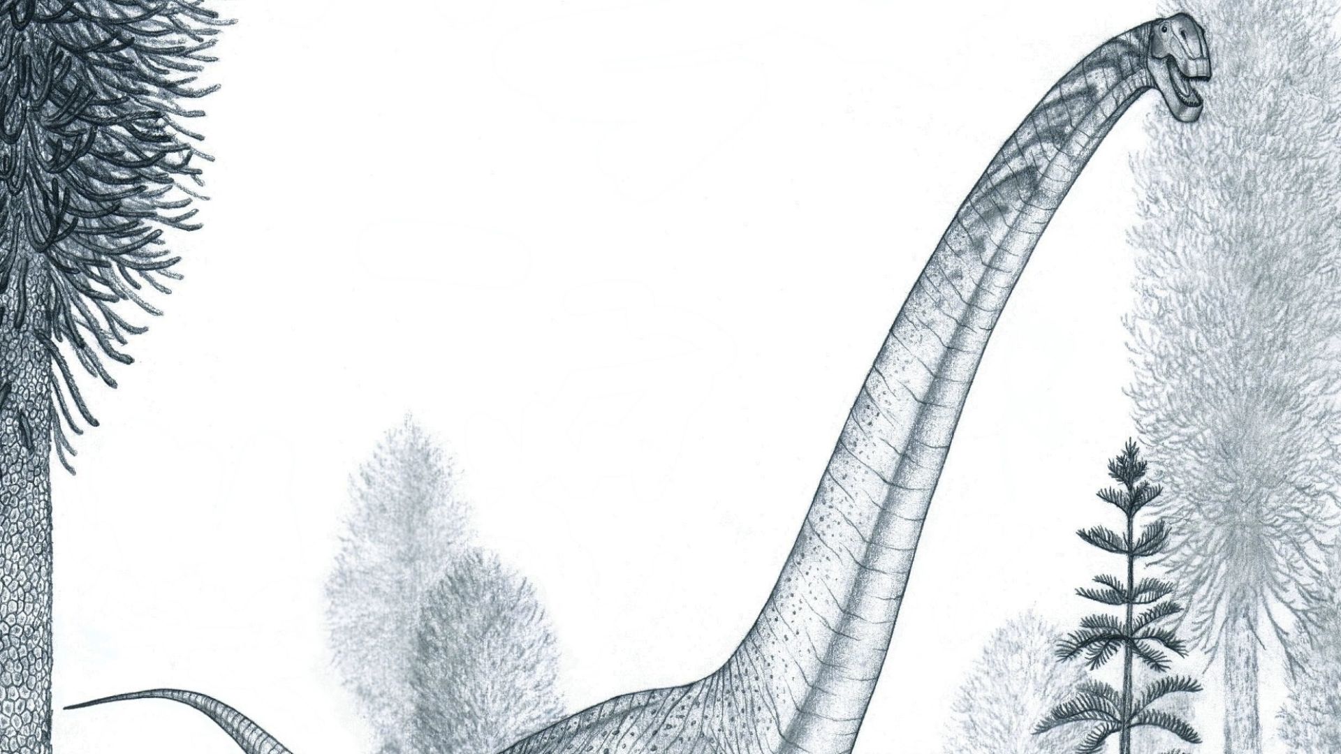 File:The Real Futalogkosaurus - Nima Sassani.jpg