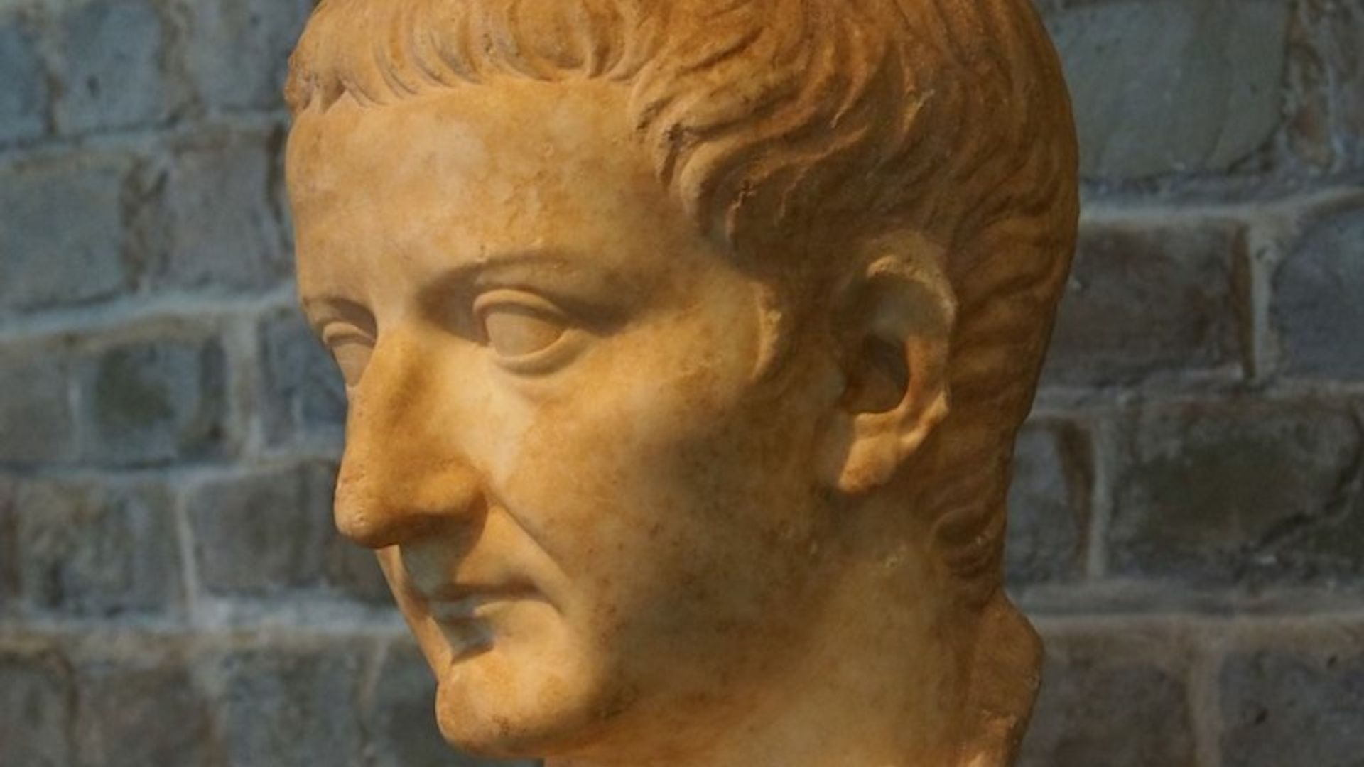 File:Roman-Germanic Museum (11356991895).jpg