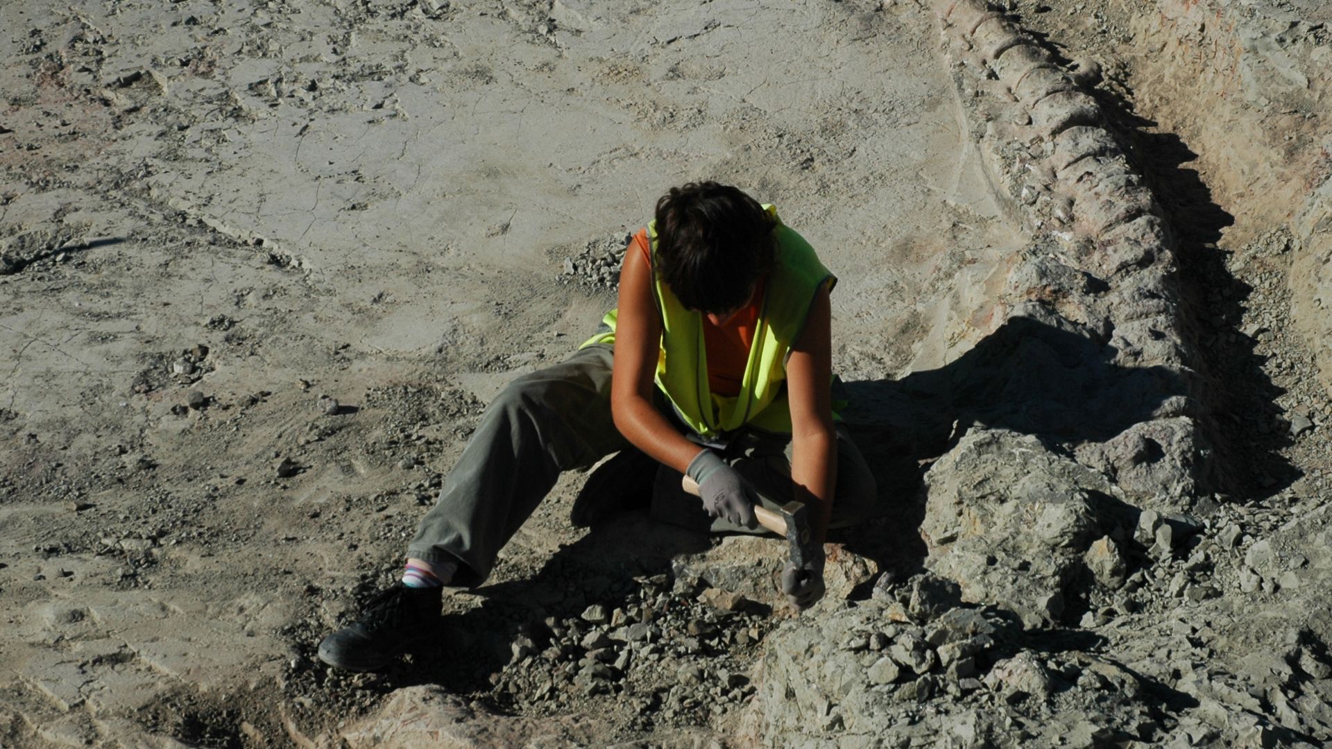 File:Lo Hueco titanosaur.jpg