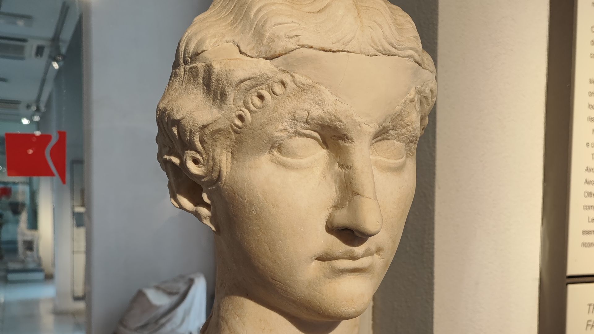 File:Probable sculpture of Livilla the Elder.jpg