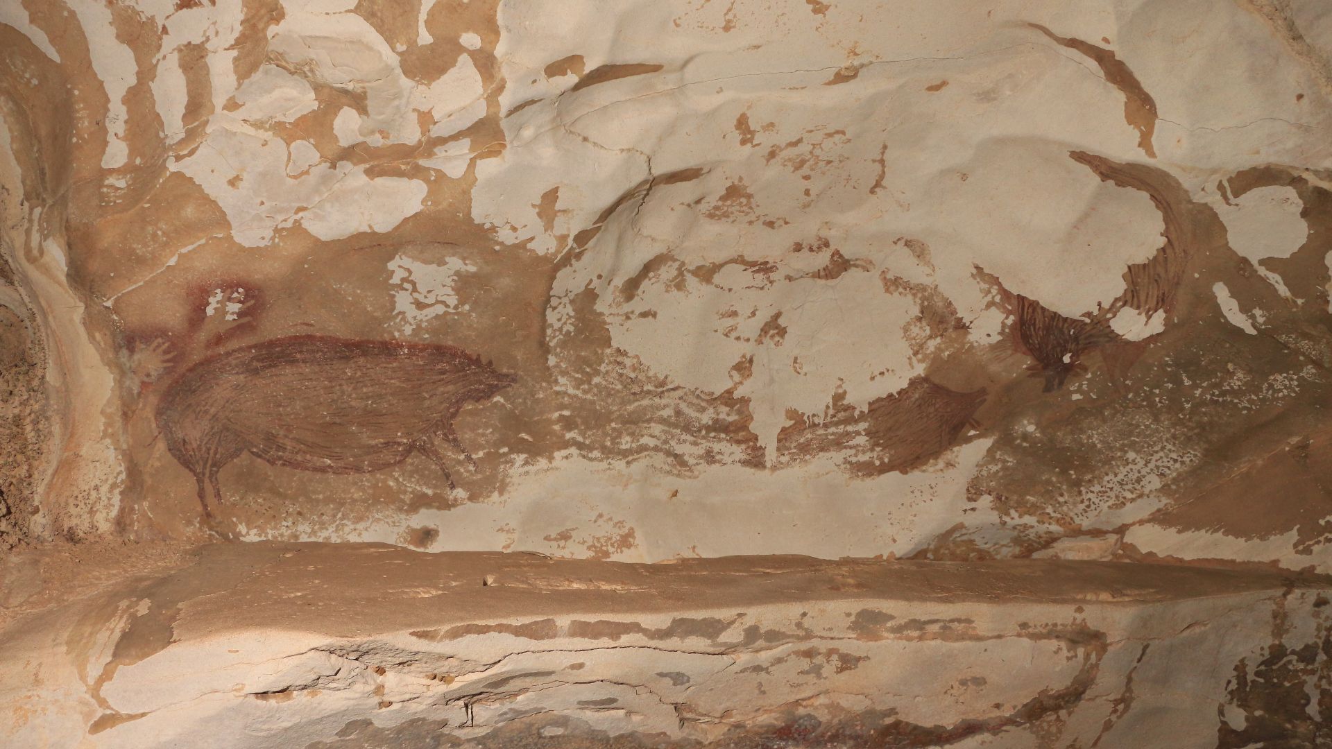 File:Leang Tedongnge rock art panel credit Basran Burhan.jpg