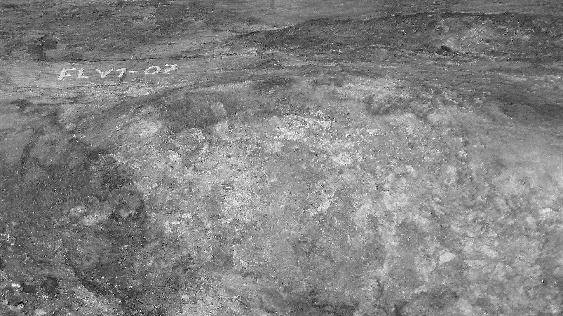 File:Fémur del Titanosauria del Chubut en el MEF 07.JPG