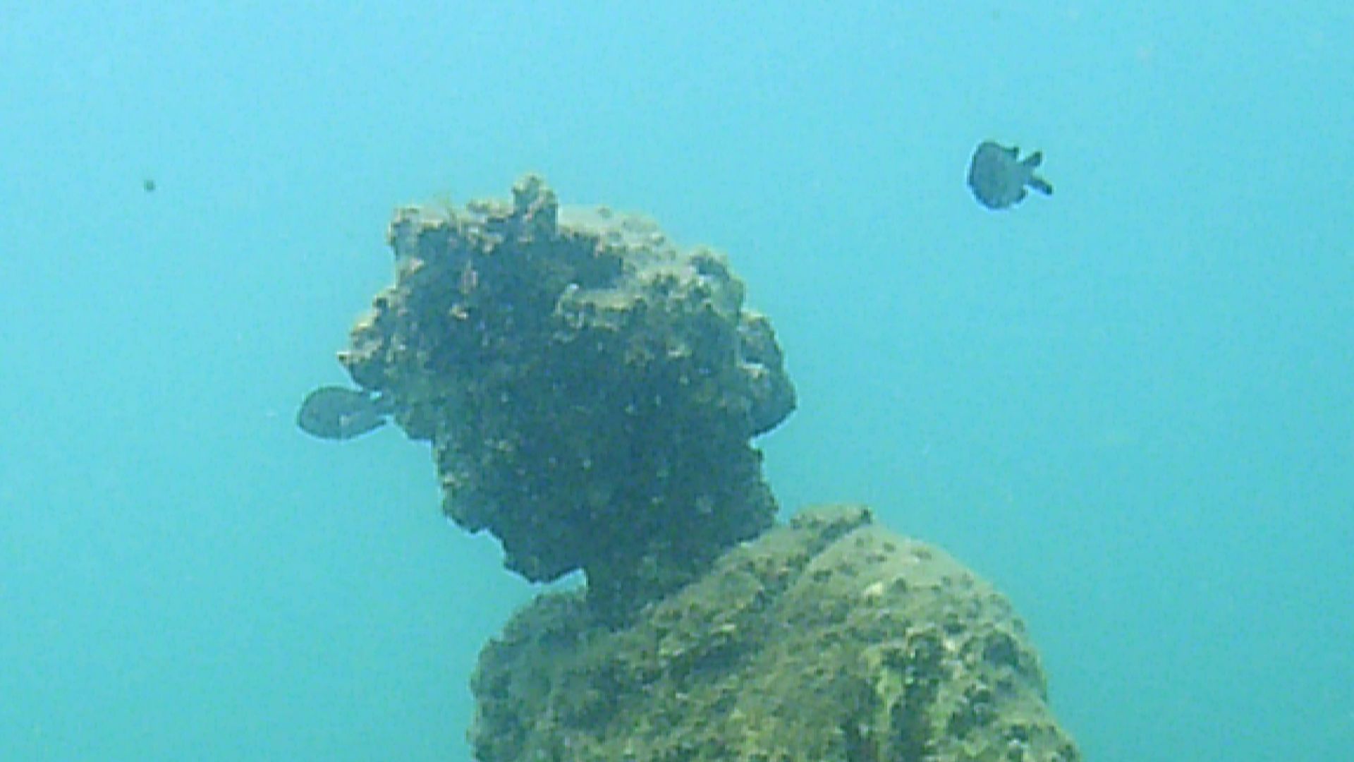 File:Parco archeologico di Baia - Ninfeo punta Epitaffio 6 - statua Dionisio con corona d'Edera.jpg