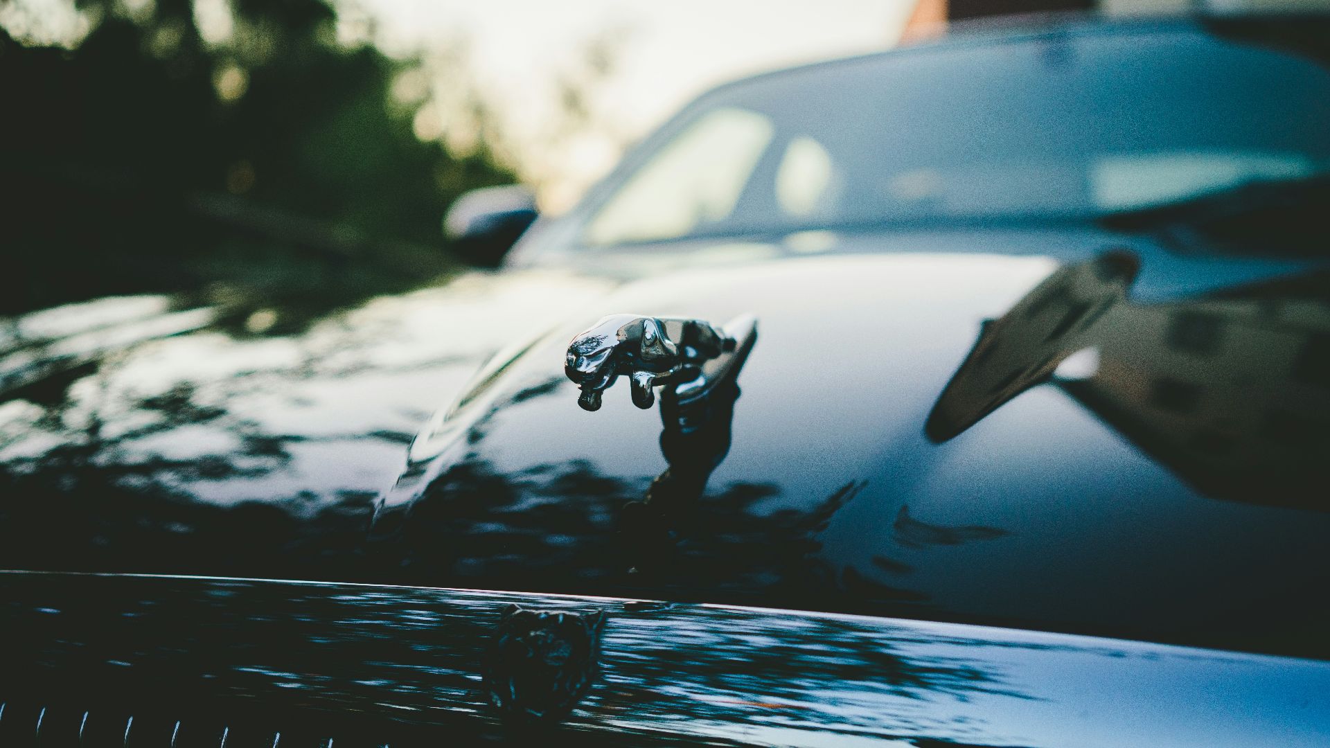 black Jaguar car