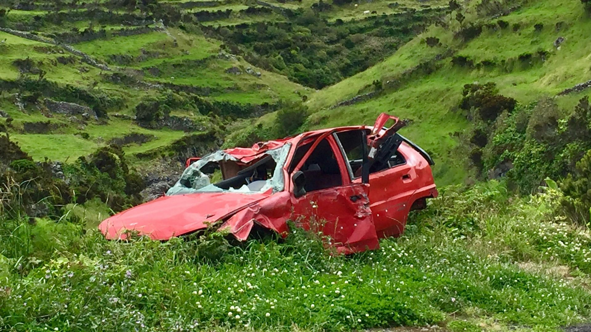 Dominika Kwiatkowska