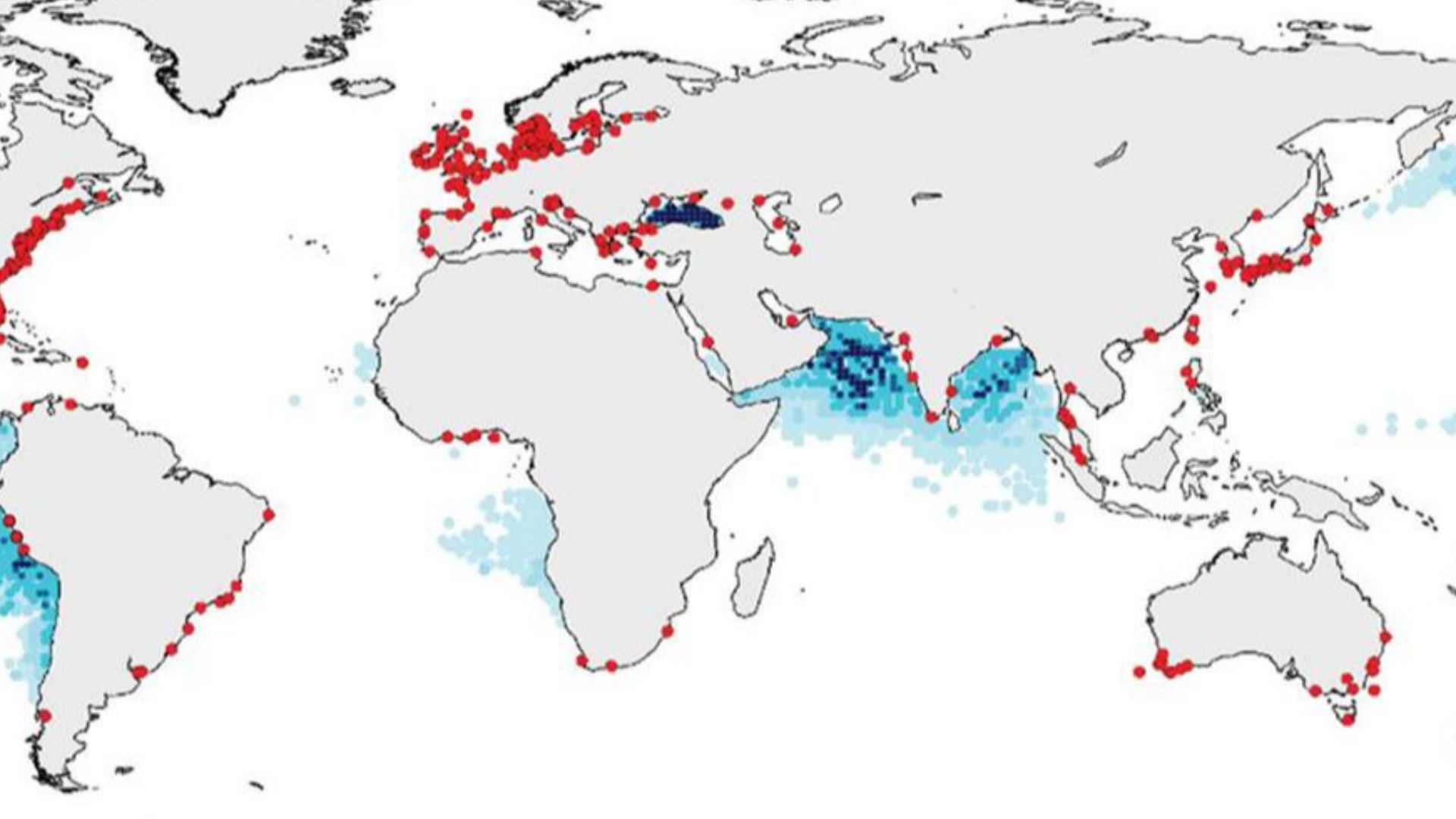 File:Global areas of hypoxia.jpg