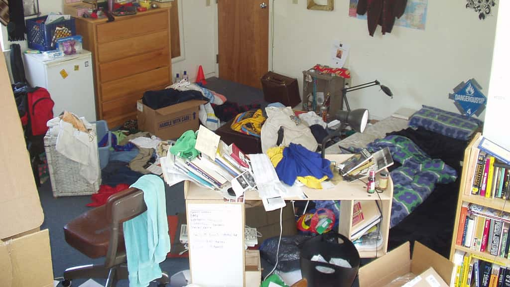 Reactions to Rejection Facts