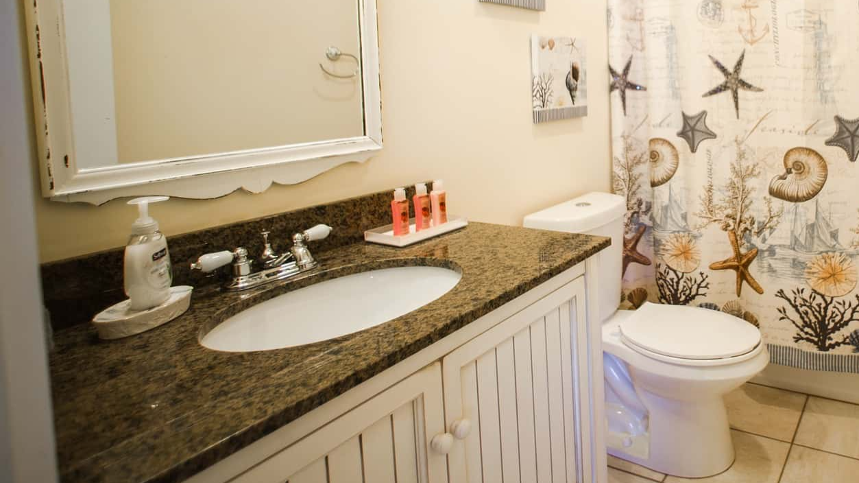 Wildest Things Found Inside Houses facts