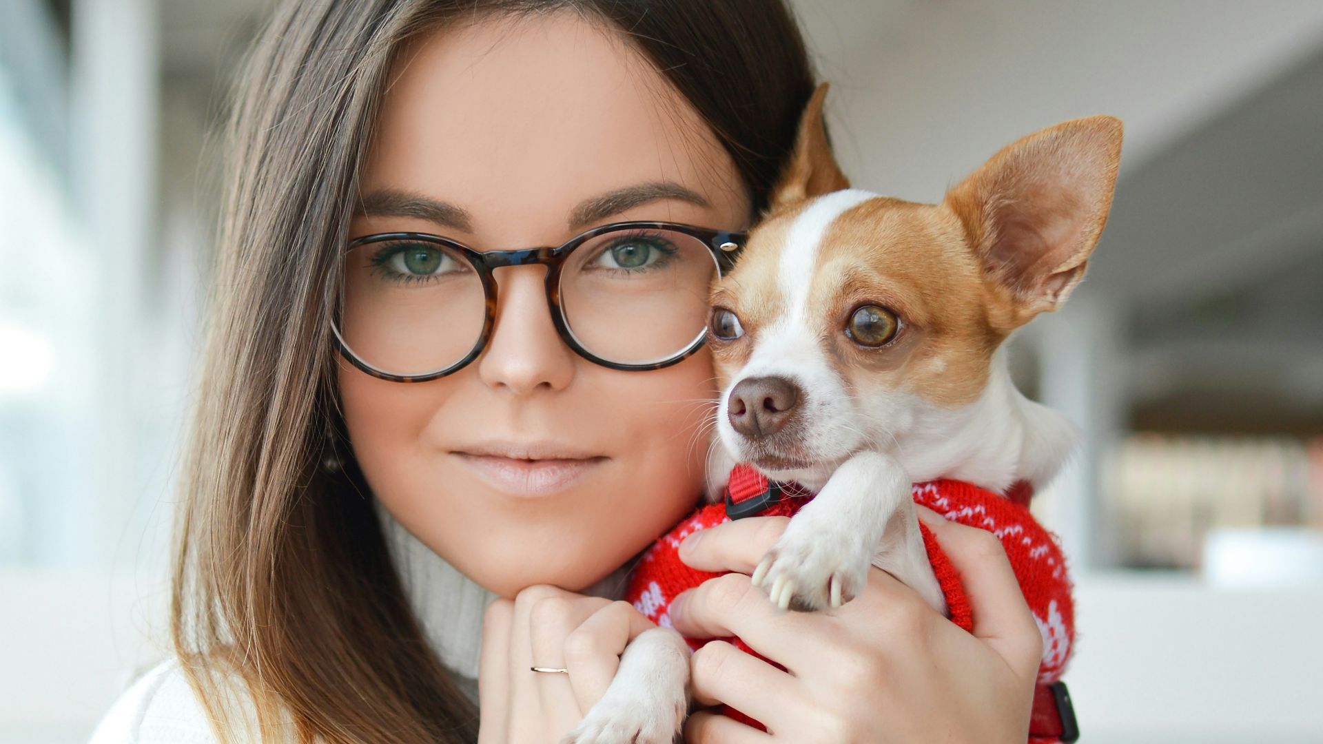 woman wearing sweater while cuddling Chihuahua
