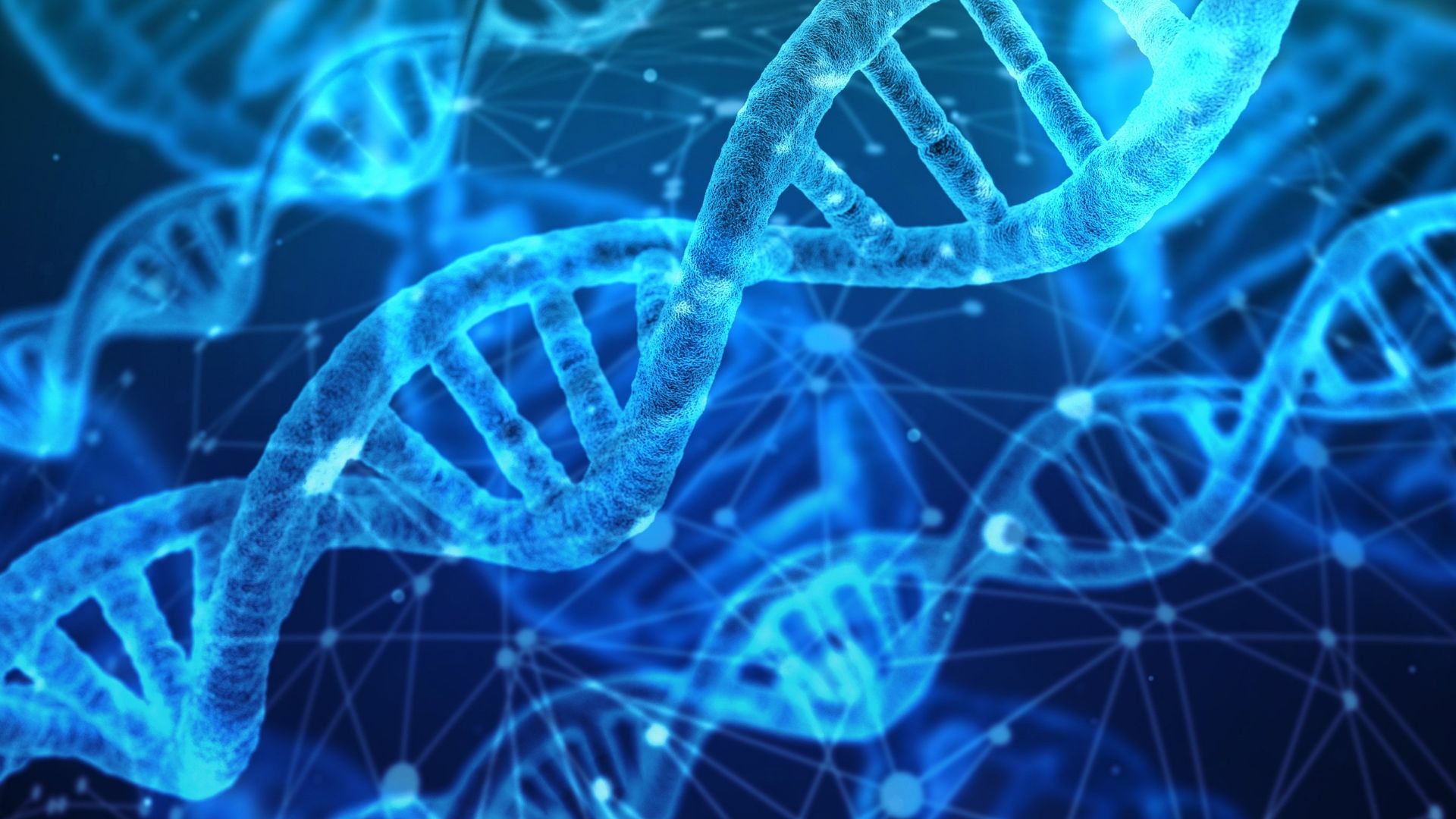 File:DNA strands.jpg