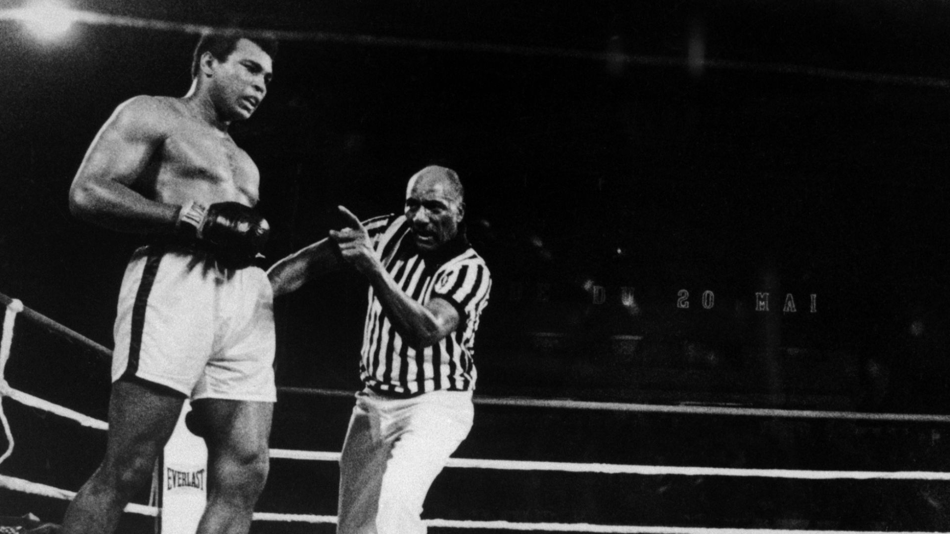 File:Muhammad Ali watching George Foreman on the canvas.jpg