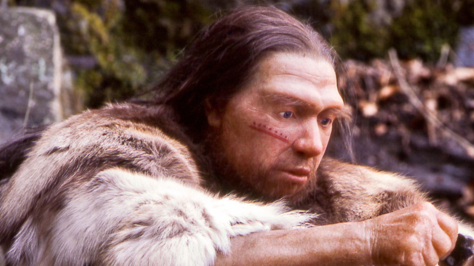 File:Homo sapiens neanderthalensis-Jäger.jpg