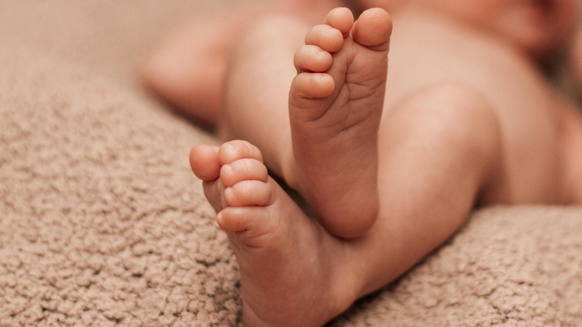 Анастасия Триббиани