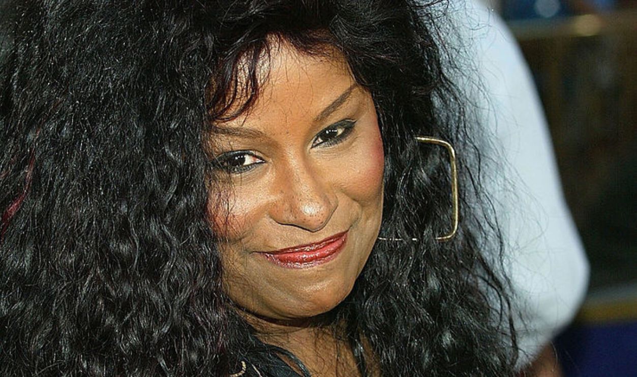 UNIVERSAL CITY, CA - MAY 3: Singer Chaka Khan attends the world premiere of the film 