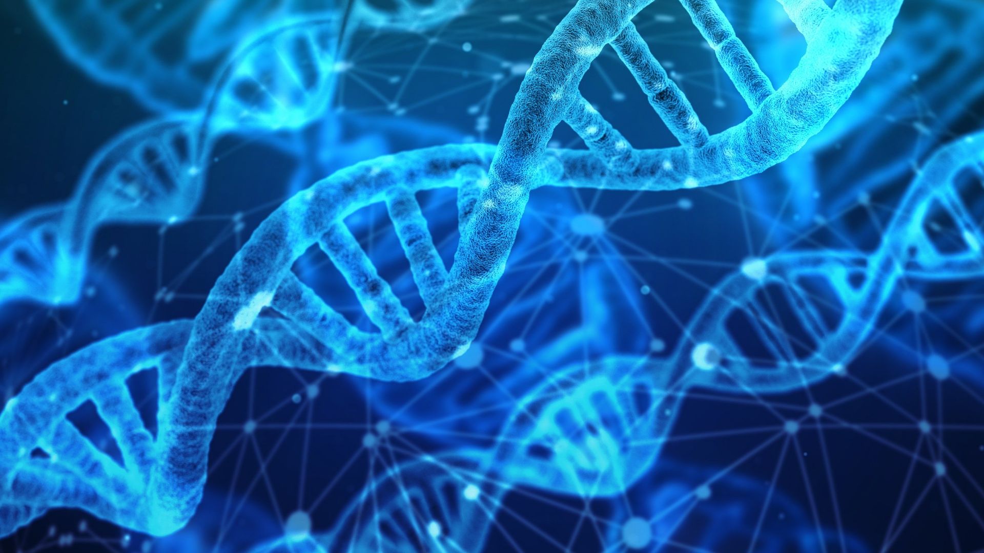 File:DNA strands.jpg