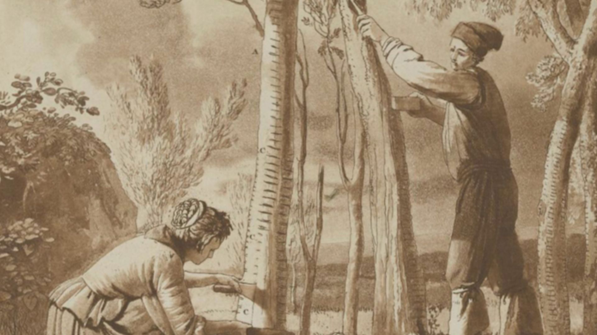 File:Houel 1782 Totale1.jpg