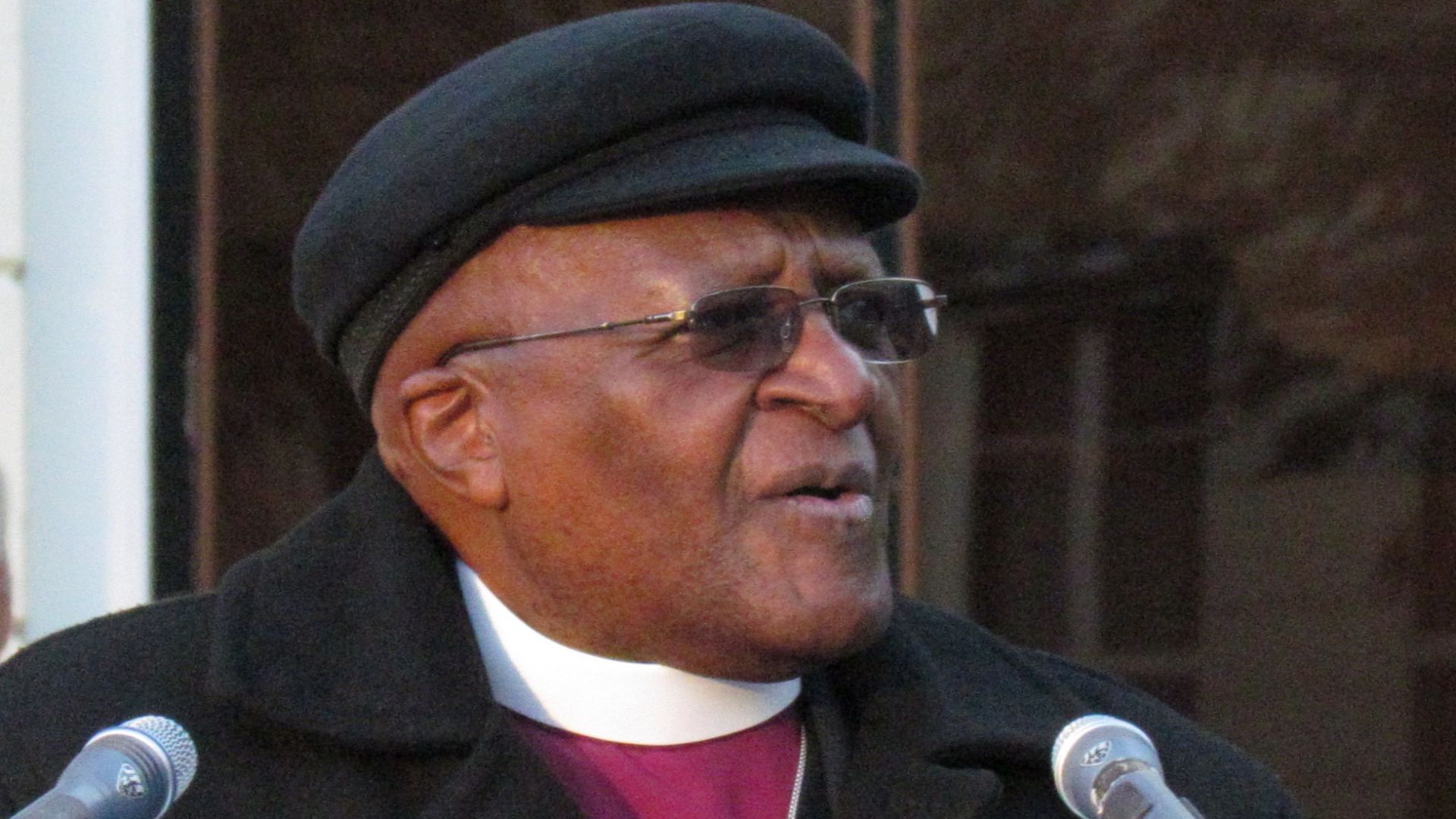 File:Tutu meets Schweitzer (7).jpg