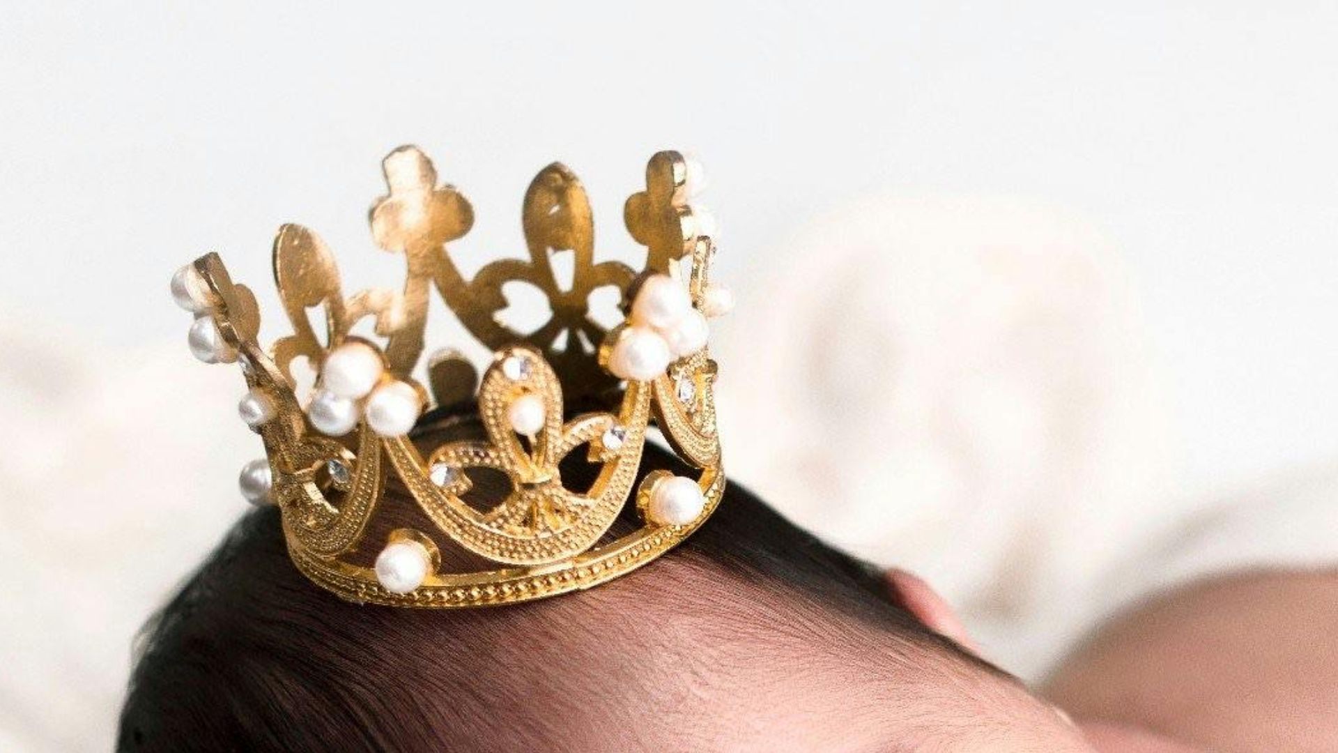 Ong Béo Studio - BH ĐN