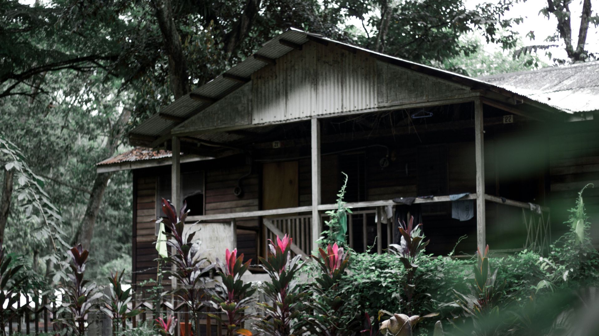 gray wooden house under the tree at daytime