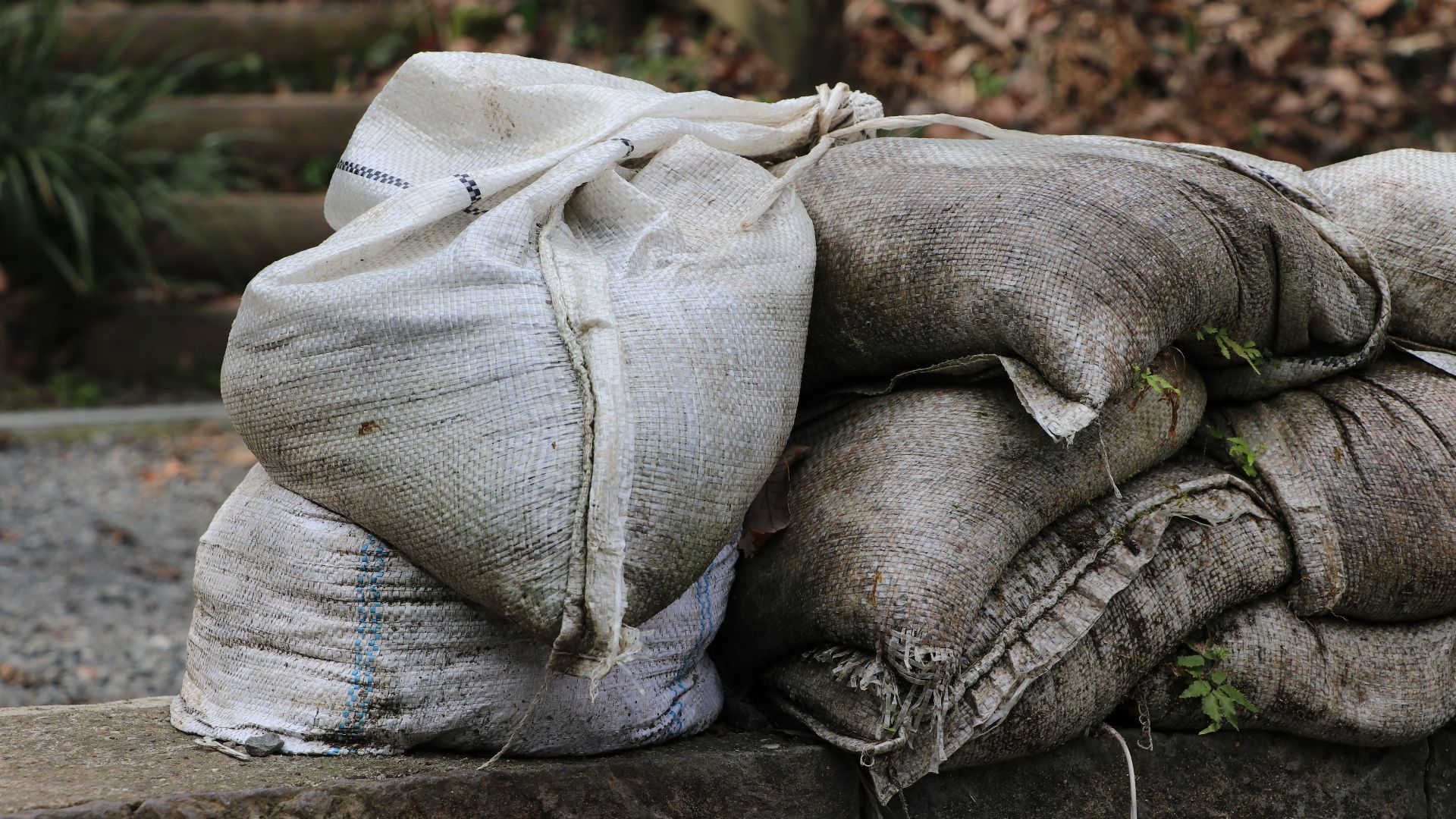 File:Sandbags at Ikuta-Ryokuchi Park North Gate 20200219.jpg