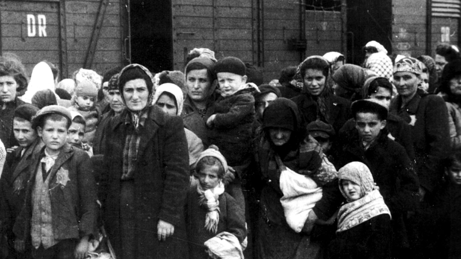 File:Bundesarchiv Bild 183-N0827-318, KZ Auschwitz, Ankunft ungarischer Juden.jpg