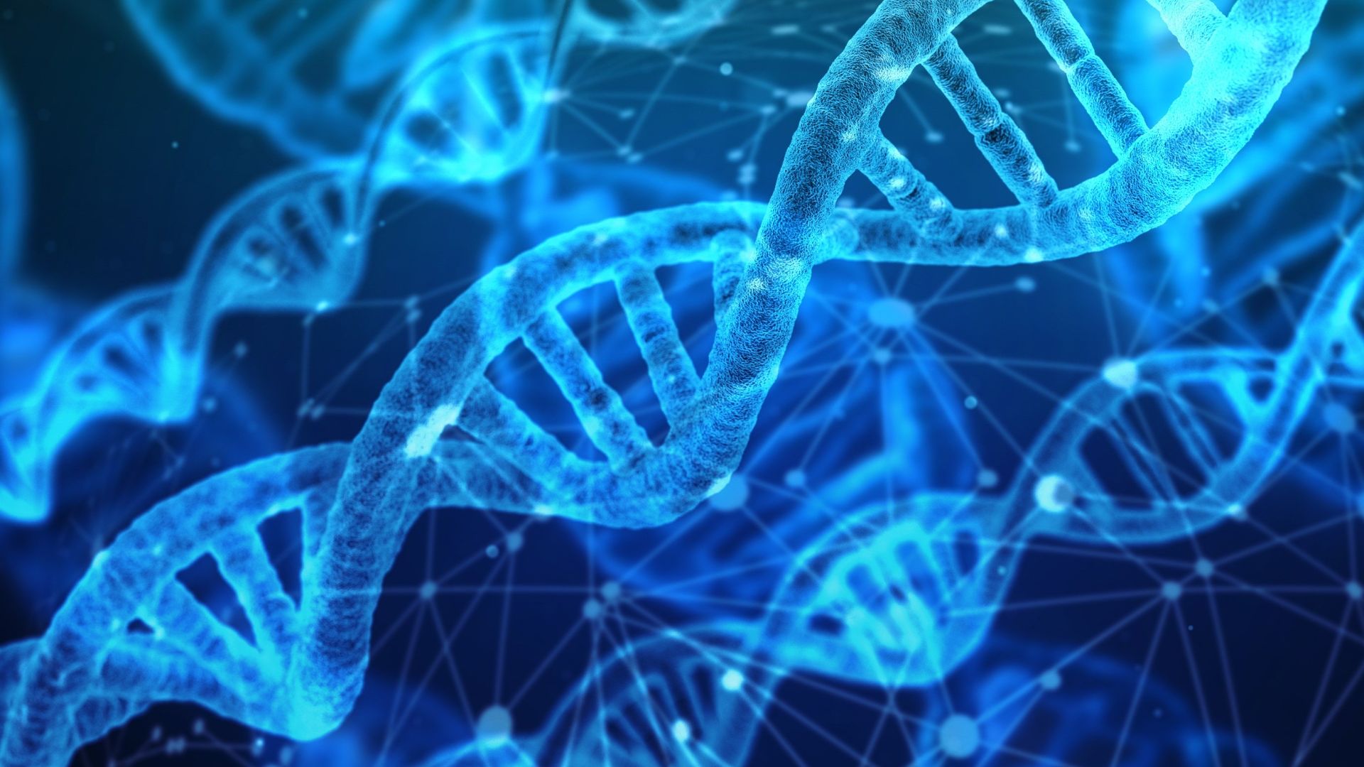 File:DNA strands.jpg