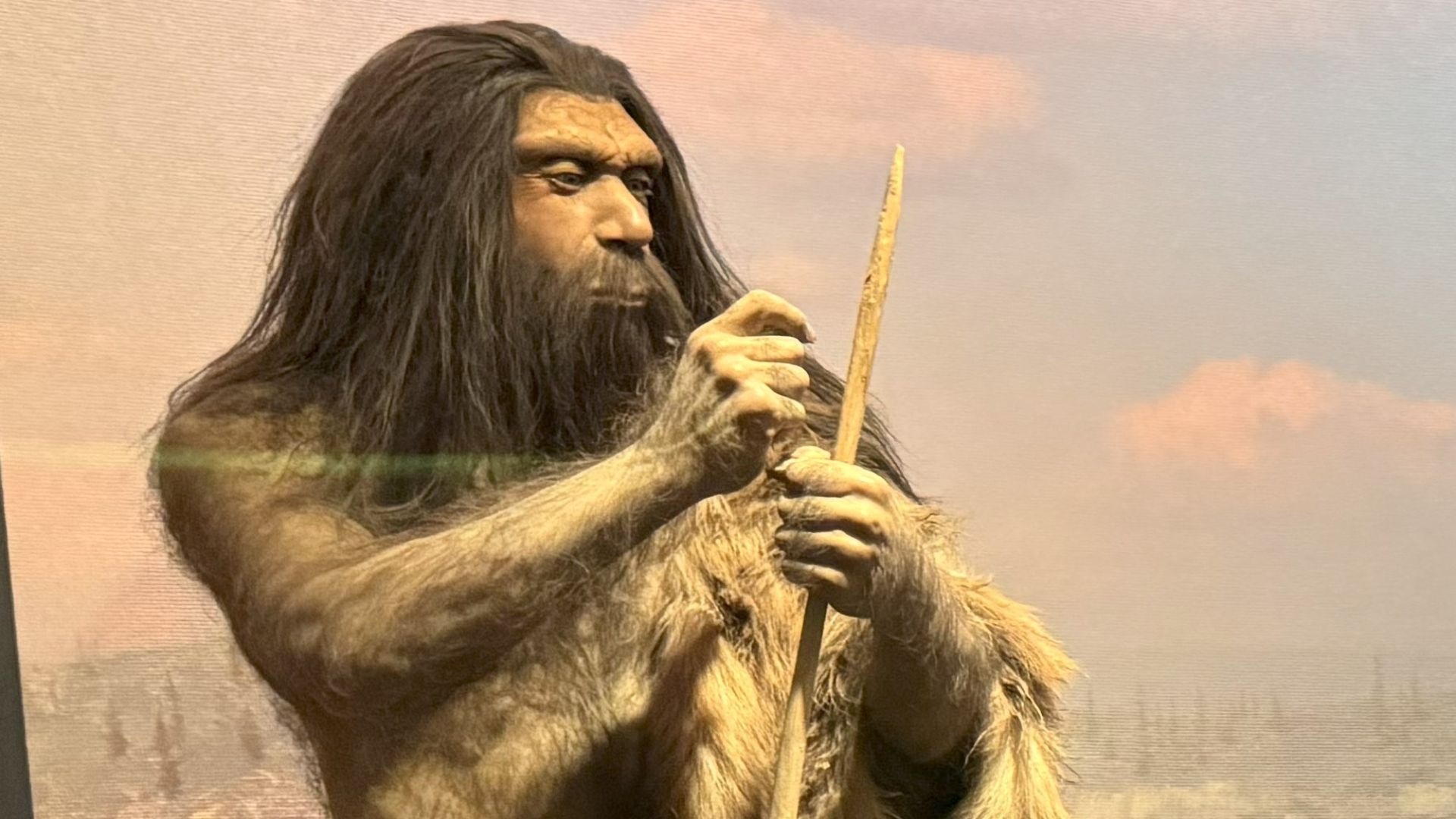 File:Neanderthals Diorama.jpg