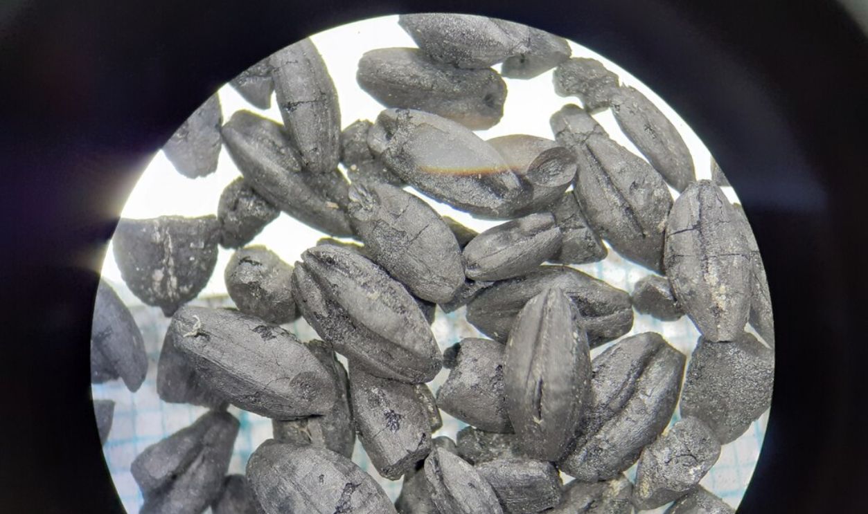 Untitled Design - 2026-02-06T180408.586