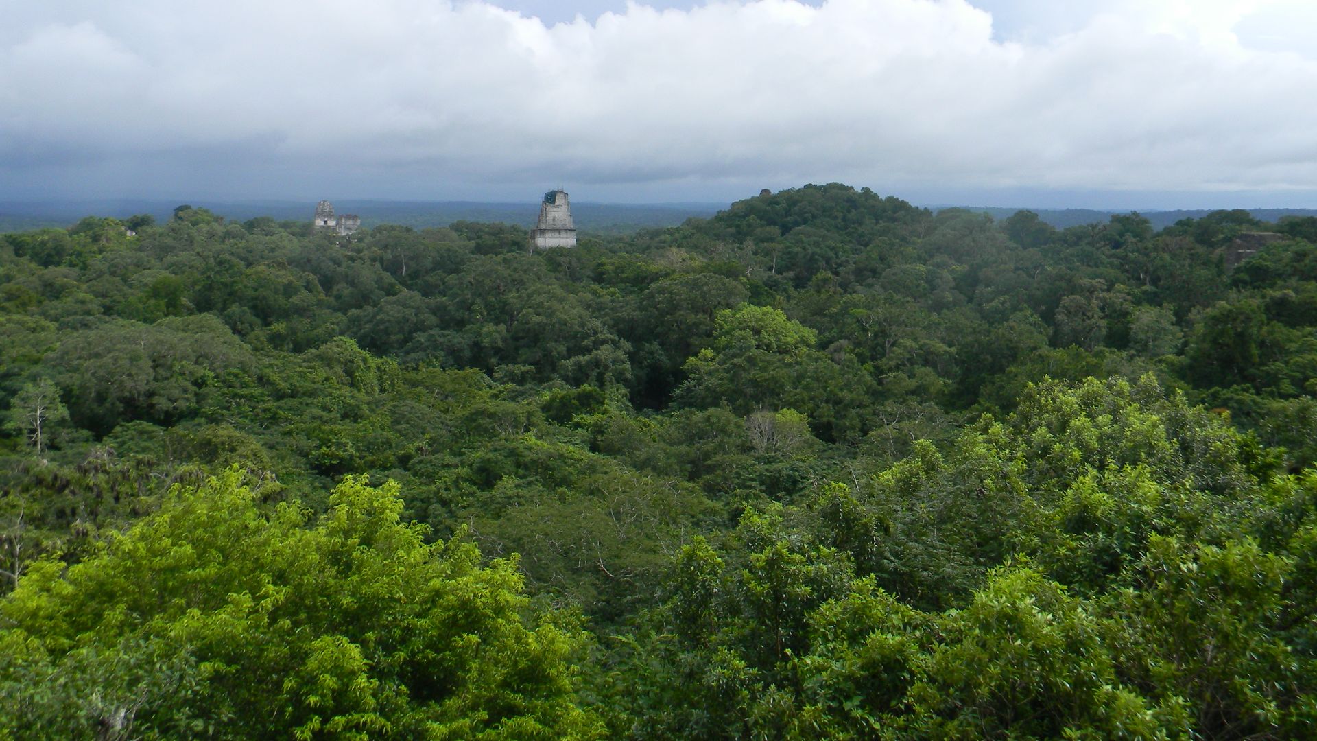 File:Tikal, Guatemala Laslovarga62.JPG