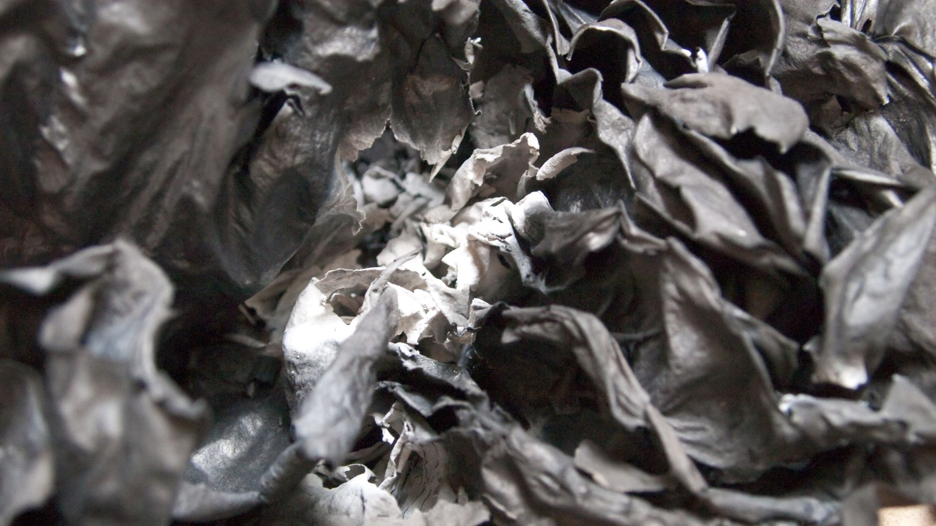 File:Paper ash, Burnt paper, Rostov-on-Don, Russia.jpg